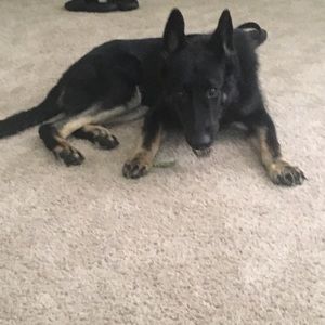 Meet your Posher, Amber